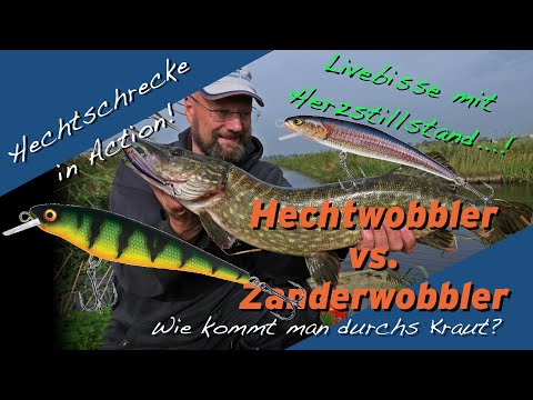 Matze Koch, the Pike Grasshopper