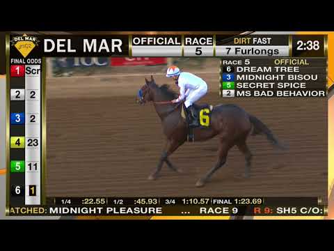 Dream Tree Wins Desi Arnaz Stakes Race 5 at Del Mar 11/18/17