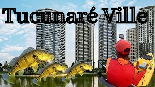 Encontramos o condomnio dos Tucunars, pescaria de caiaque, Barragem Pedra do Cavalo, Rio Jacupe