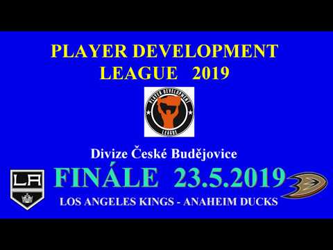 PDL 2019 finále České Budějovice