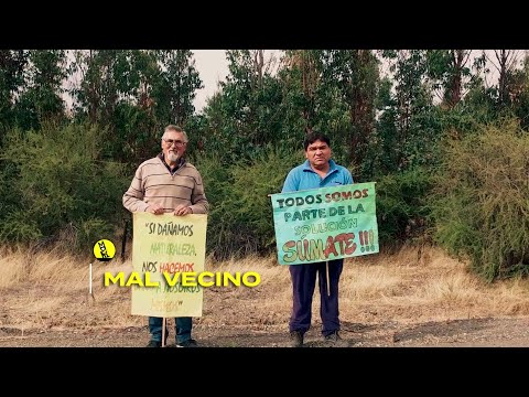 Mal vecino | Trailer