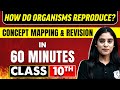 HOW DO ORGANISMS REPRODUCE In 60 Minutes Science Chapter 8 Class 10th CBSE Board