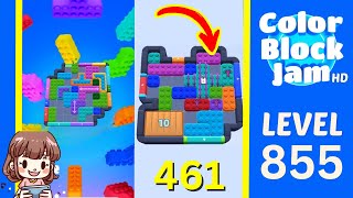 Color Block Jam 第 855 关攻略