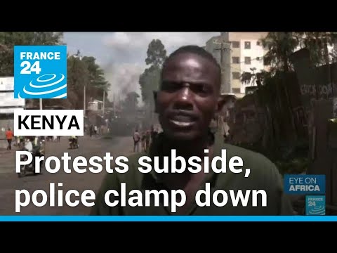 Kenyan anti tax hike protests subside as police clamp down • FRANCE 24 English