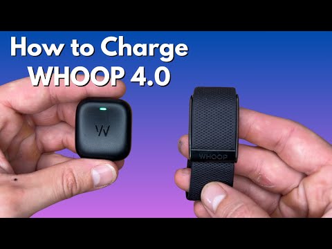 How to Charge WHOOP 4.0 (Plus More)