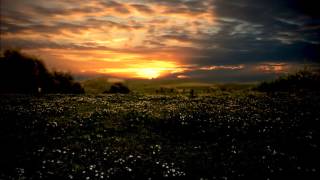 Hear All Creation   MARGARET BECKER