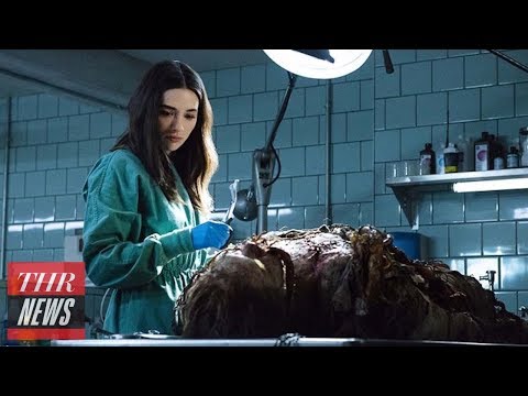 'Swamp Thing' Gets Canceled After Only One Episode Airing on DC Universe | THR News
