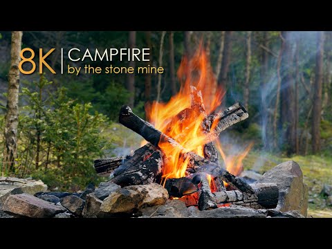 Natural Scenery by The Campfire🌲Soothing Relaxing Sounds 🔥8K
