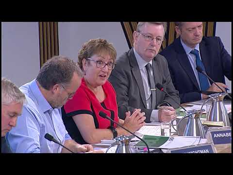Local Government and Communities Committee - 19 September 2018