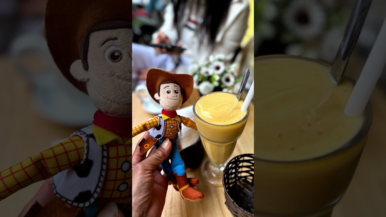 HANOI'S BUFFET PASS/OLD TRAIN STREET