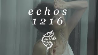 🎵 echos - 1216 (lyrics)