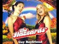 The Hazzards - Gay Boyfriend (Shanghai Surprise Remix)