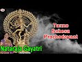 Nataraja Gayatri Mantra With English Lyrics Sung By Bombay Saradha