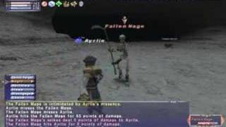 75 WHM vs Fallen Mage