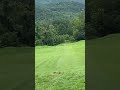 Caleb Hall Throws The World S Longest Recorded Ace North Cove DGC Star Destroyer 611 Ft Shorts