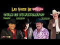 Ramon Ayala - Las Voces De / Cual Es Tu Favorito?