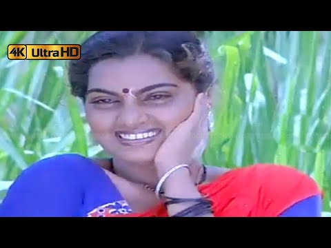 பூவே இளைய பூவே பாடல் | Poove Ilaiya Poove song | Malaysia Vasudevan, Chorus | Kozhi Koovuthu .