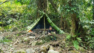 Download lagu Building Survival Shelter Under a Tree by the Stream, Fish Trap, Catch and Cook. Bushcraft Camping mp3 Download lagu Building Survival Shelter Under a Tree by the Stream, Fish Trap, Catch and Cook. Bushcraft Camping mp3