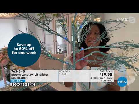 HSN | Spring Home & Decor - LifeSmart 03.14.2022 - 12 PM