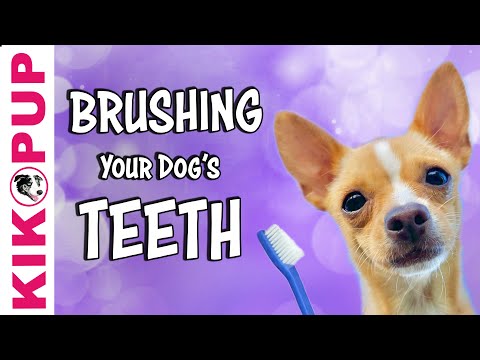 STOP UNWANTED behaviors with BACK UP