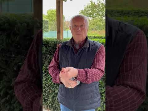 Pigeon bids Prange video 2023