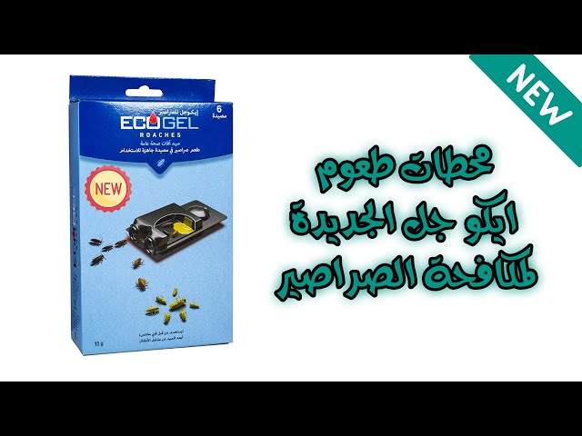 ايكو جل محطات طعوم لمكافحة الصراصير جاهزة
