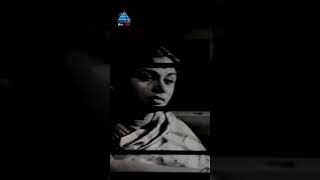 Download lagu Vengaikku Kuriveithu Vertical Song | Paasam Tamil Movie Songs | MGR | Saroja Devi | PG Music mp3