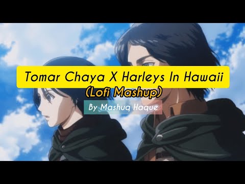 Tomar Chaya x Harleys In Hawaii | Mashuq Haque | Lofi Mashup | Shitom Ahmed | Katy Perry