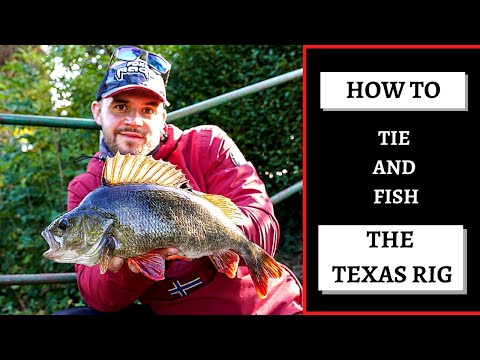 HOW TO TIE AND FISH THE TEXAS RIG - UK STYLE