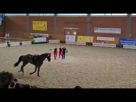 Aeroxon Juniorteam DJM 2021