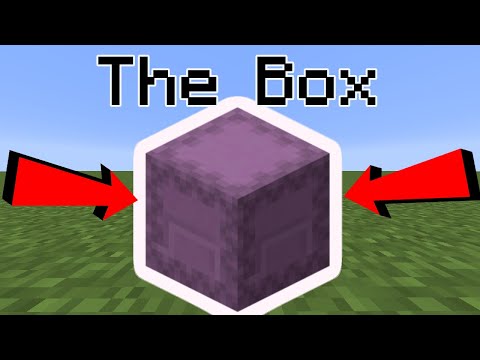 Insane Minecraft Item Remix of THE BOX!