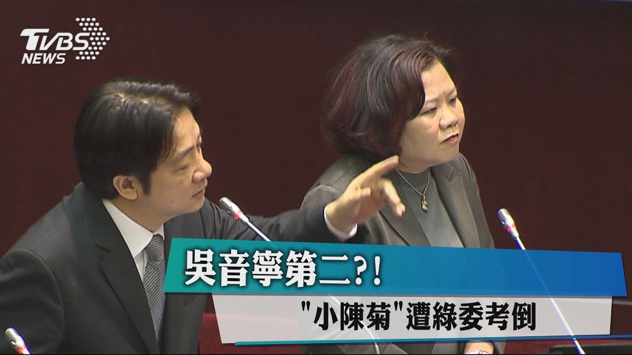 吳音寧第二？　「小花媽」遭綠委考倒
