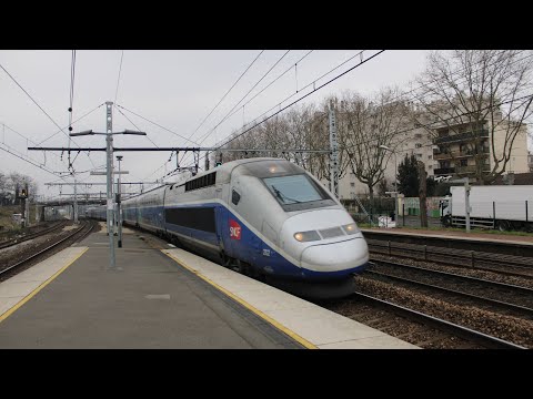 TGV bleu 282 et 283/ Corails/ RER D/ VT2 à Maison-Alfort-Alfortville, Melun et Paris-Gare-De-Lyon