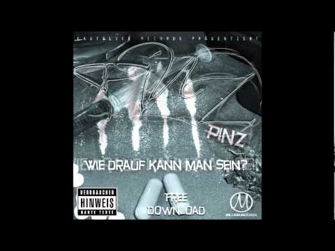 Pinz - Intro (Wie drauf kann man sein)