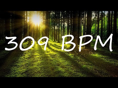 309 BPM Claves Metronome