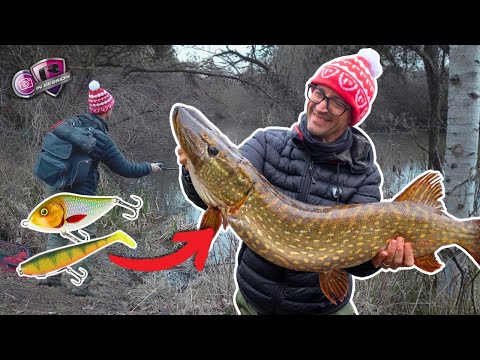INSANE ACTION! Big Pike on Lures Made EASY | The Pike Lure Setup You Need with Nick Marsh