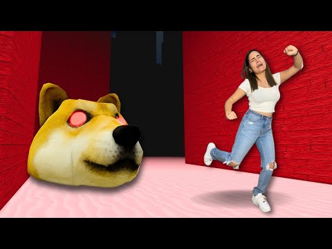 Escape from Doge's Head in Roblox | Andie