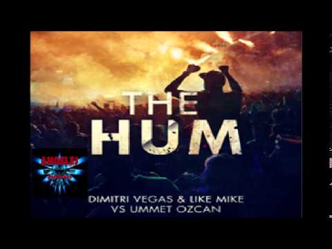 Dimitri Vegas & Like Mike - The Hum vs Afrojack - No Beef (DV & LM Tomorrowland 2015 Mashup)