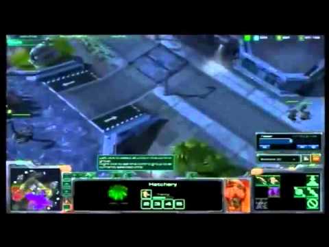 Day 23   Starcraft II   Drewbie vs DIMAGA