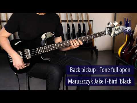 Maruszczyk Jake TBird Live Demo - BassFreaks.net