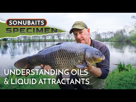 Oils & Liquid Attractants can TRANSFORM Your Fishing! | Ellis Brazier