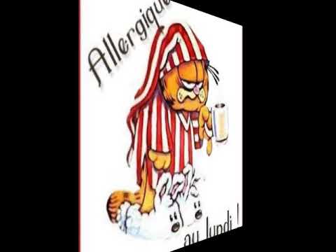 Je n'aime pas les Lundis