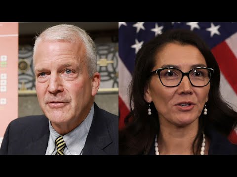 Alaska Democrat Peltola scouted man with same name as opponent Dan Sullivan to run, NYT report says