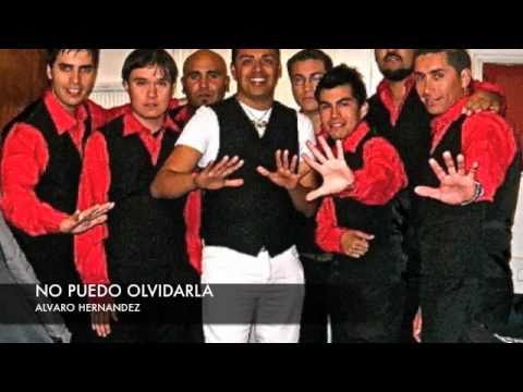 ALVARO HERNANDEZ  (no puedo olvidarla)