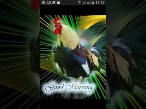 La chanson du réveil