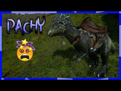 ¿Cómo domar un PACHY en Ark mobile? SOLO