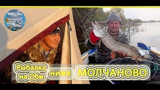 Рыбалка на оби в молчаново 2020г