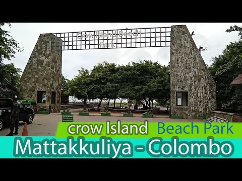 Crow Island Beach Park Mattakkuliya