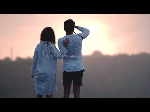 Family Piknik Music - Best of 2020