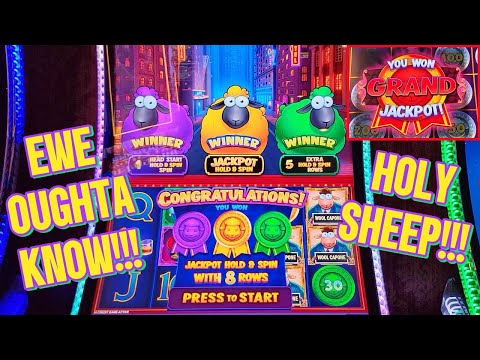 GRAND TRIPLE POP!!! 😱 UNREAL Session on Rich Little Sheep!!! 🐑🐑🐑